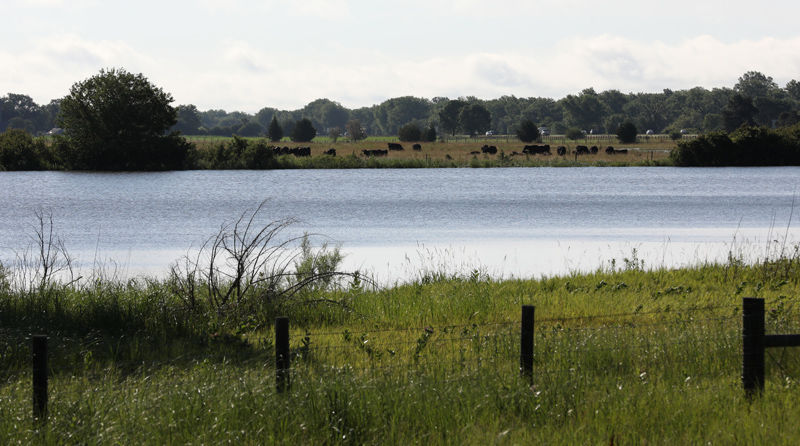 Flooded field